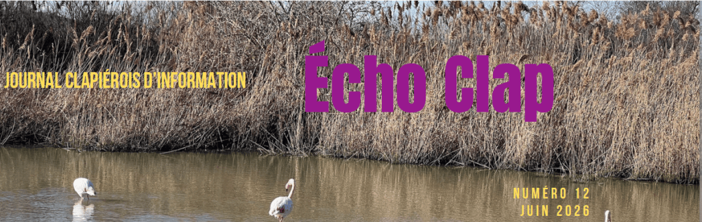bandeau écho clap 12